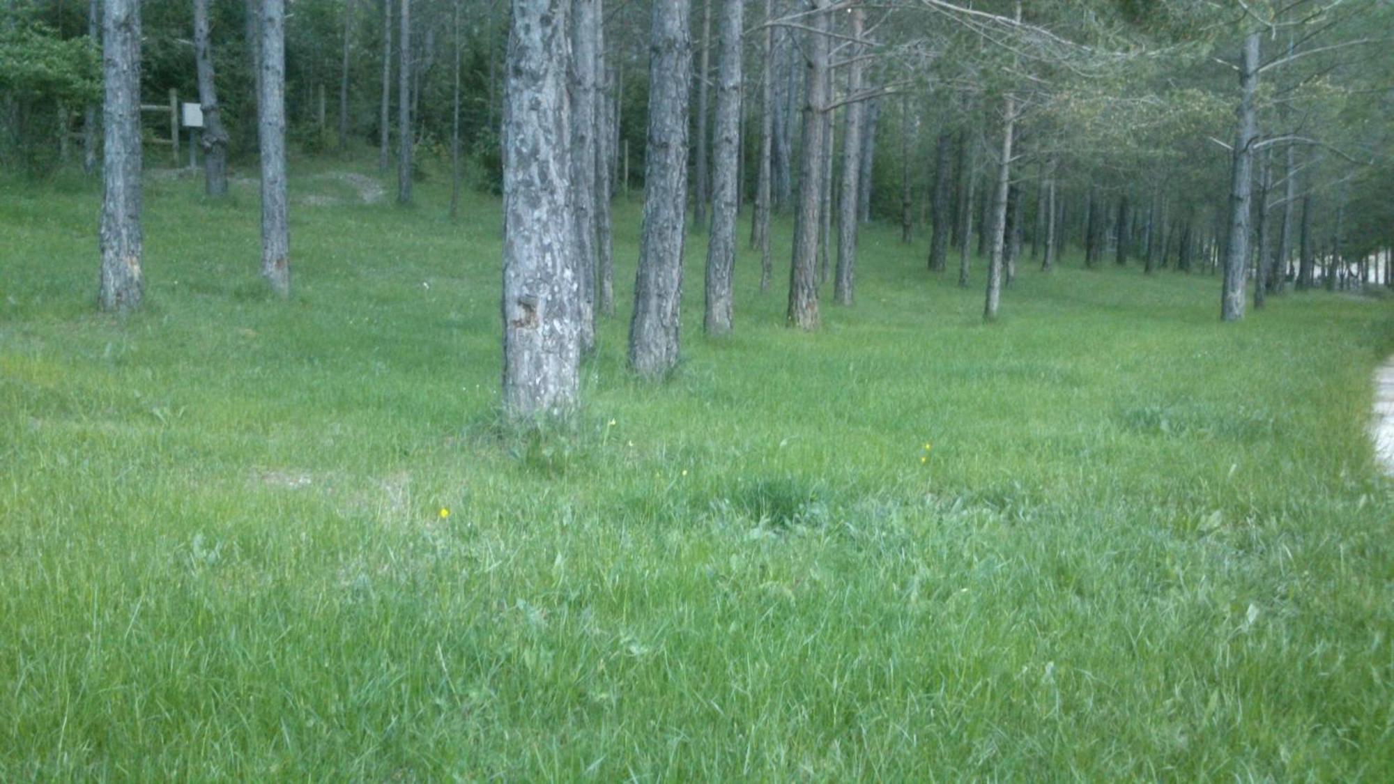 Camping L'Espelt Ла Побла де Лилет Екстериор снимка
